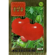 토마토 홍일품토마토  100s(약100개/봉)