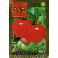 토마토 홍일품토마토  100s(약100개/봉)