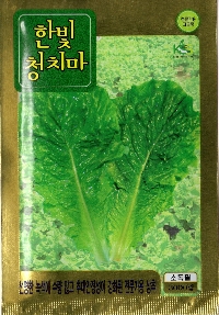상추 춘한빛청치마  (약3000개/봉)
